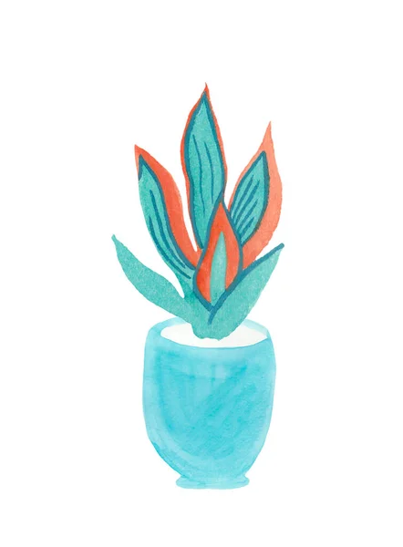 Akvarel Sansevieria Aqua Menthe Fantom Blue Lush Lava Ilustrace Ruky — Stock fotografie