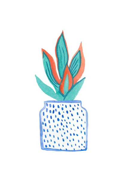 Watercolor Sansevieria in Aqua Menthe and Phantom Blue,Lush Lava. Illustration of the home plant hand drawn on a white isolated background. Design for stickers,ards,prints,packaging.