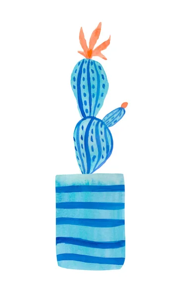 Cactus Acuarela Aqua Menthe Phantom Blue Lava Exuberante Ilustración Mano —  Fotos de Stock