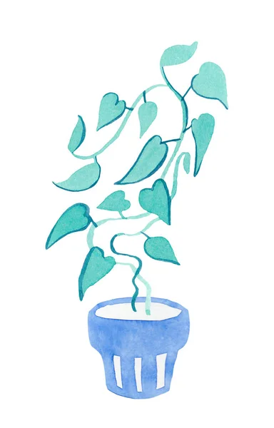 Watercolor Liana Blue Aqua Menthe Phantom Blue Illustration Home Plant — 스톡 사진