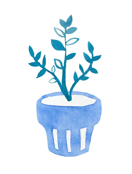 Aquarela Zamioculcas Azul Fantasma Uma Ilustração Zanzibar Jóia Mão Planta — Fotografia de Stock