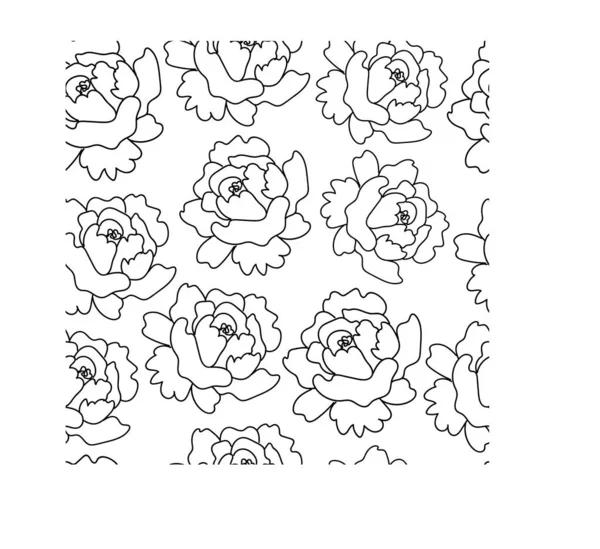 Bezešvé vzory s pivoňkami, růžemi a sasankami. Botanické písmo je černé na bílém izolovaném pozadí. Design pro malování, textil, tapety, karty, obaly, webové sociální sítě. — Stockový vektor