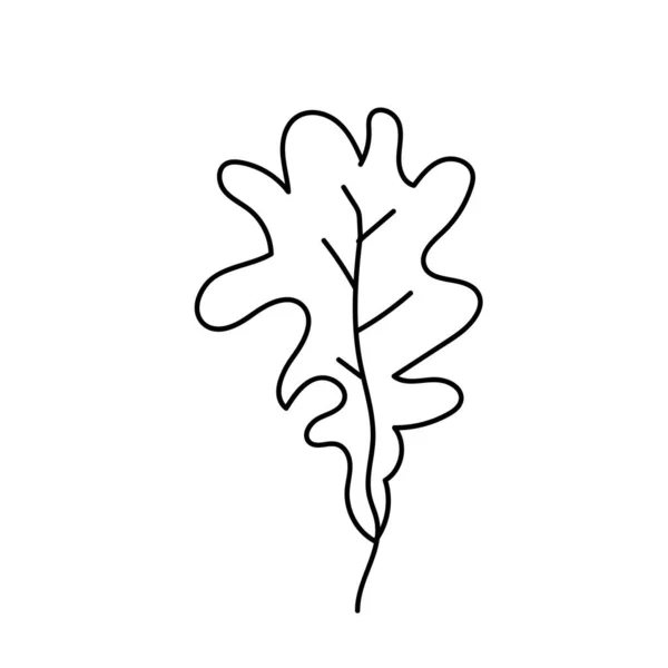 Enkelt vektorblad av en ek. Botaniska, höst illustration med svarta linjer på vit isolerad bakgrund klotter. Design för färgläggning, vykort, webb, affisch, logotyp, tryck. — Stock vektor