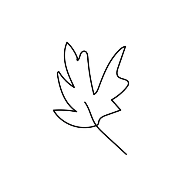 Простой Векторный Кленовый Лист Осень Ботаническая Иллюстрация Черными Линиями Белом — стоковый вектор