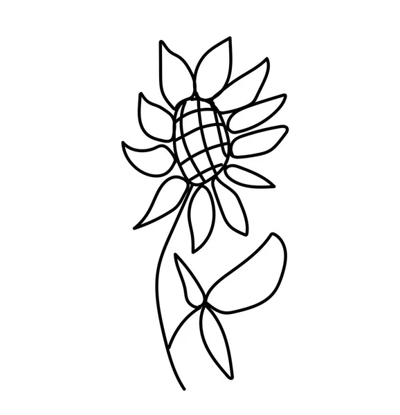 Simple Vector Girasol Ilustración Botánica Otoñal Con Líneas Negras Sobre — Archivo Imágenes Vectoriales