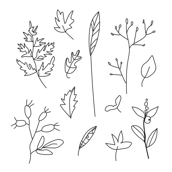 Einfache Vektorblätter Zweige Und Beeren Botanische Herbstillustration Mit Schwarzen Linien — Stockvektor