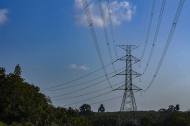 Bahçede yüksek voltajlı elektrik direği var.