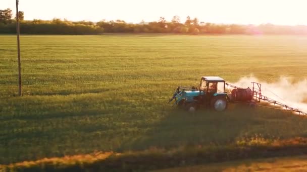 Ciągniki Rolnicze Rozpylające Rośliny Terenie Rosja Obwód Pskowski Promienie Słoneczne — Wideo stockowe