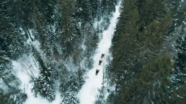 Sneeuwscooters Rijden Weg Door Winter Bos Rusland Drone Aanzicht — Stockvideo