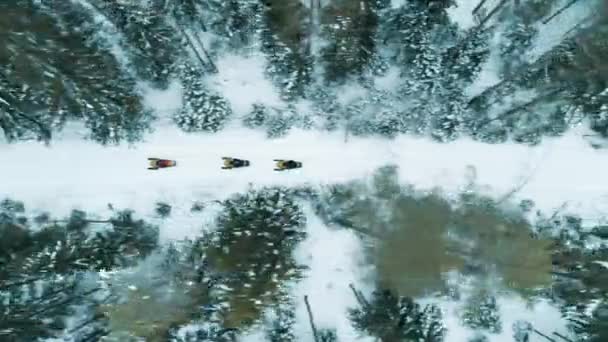 Bovenaanzicht Sneeuwscooters Rijden Weg Door Winter Bos Rusland Drone Schot — Stockvideo