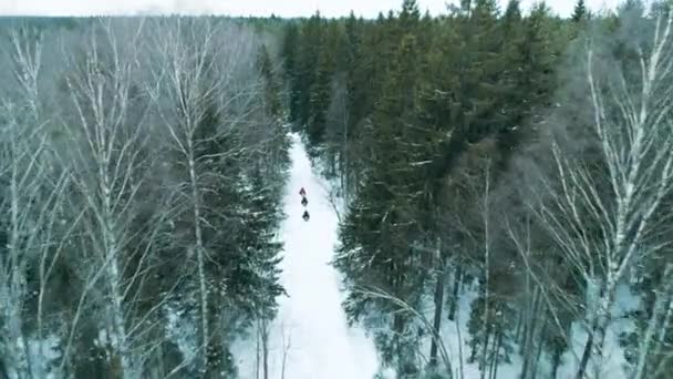 Motos Nieve Paseo Por Carretera Través Bosque Invierno Drone Rusia — Vídeo de stock