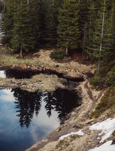 青空を背景にトウヒ林の山湖 — ストック写真