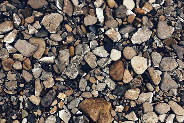 Fundo de pedras marinhas . — Fotografia de Stock