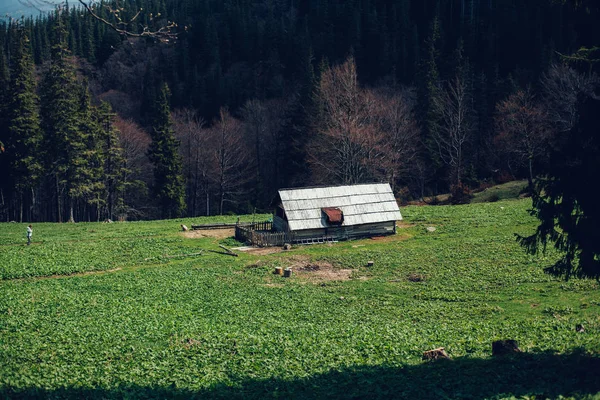 Antigua casa de madera en el bosque de los Cárpatos —  Fotos de Stock