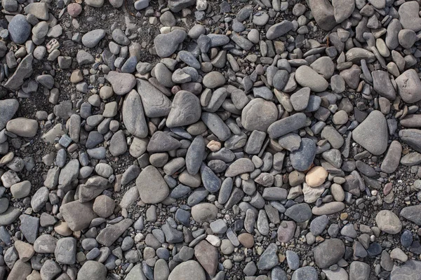 小砾石石头, 砾石纹理 — 图库照片