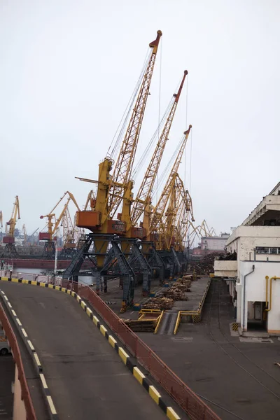敖德萨海港口货物起重机 — 图库照片