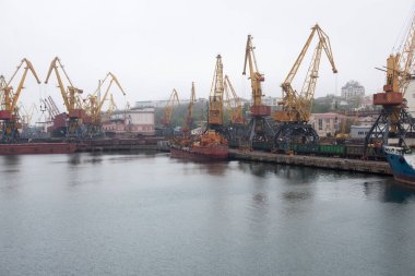 Kargo Vinçler, Odessa liman