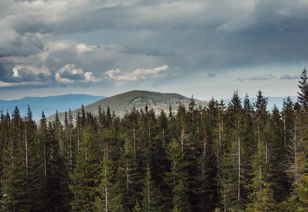 Landscape in mountains Carpathians Ukraine — Stock Photo, Image