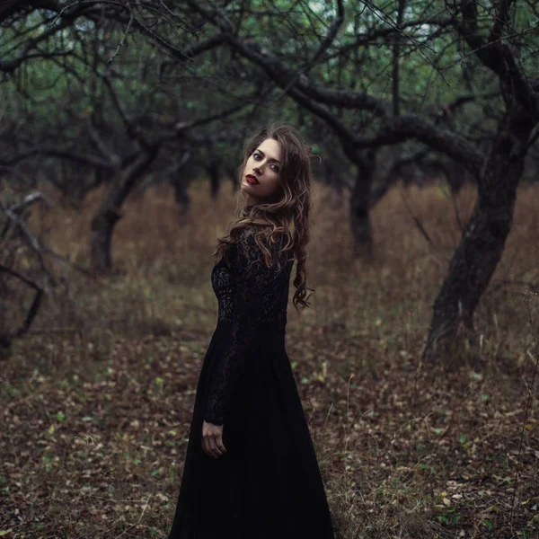 Menina bonita em vestido vintage preto com cabelo encaracolado posando na floresta. Mulher de vestido retrô perdida na floresta. Emoção sensual preocupada. Moda retrô — Fotografia de Stock