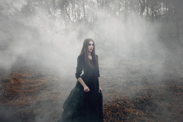 Young attractive Witch in black dress walking on the old field in heavy black smoke. Dark magic. Horror fairy tale.