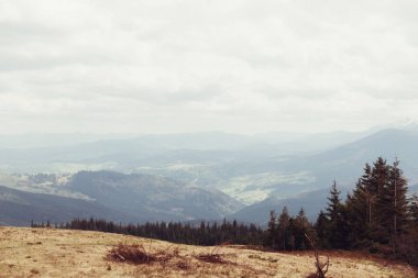 Karpatlar Ukrayna dağlarda manzara