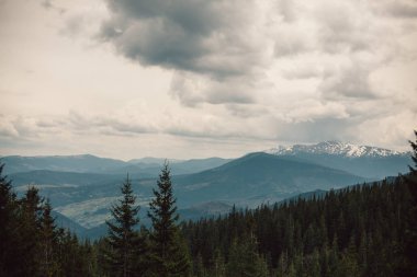 Karpatlar Ukrayna dağlarda manzara