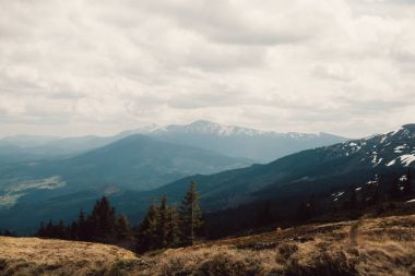 Karpatlar Ukrayna dağlarda manzara