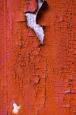 Terk edilmiş evdeki eski boya tabakalarıyla çatlamış bir duvar.