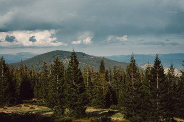 Karpatlar Ukrayna dağlarda manzara