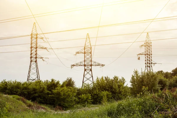 High voltage lines and power pylons in a flat and green agricultural landscape on a sunny day — Stock Photo, Image