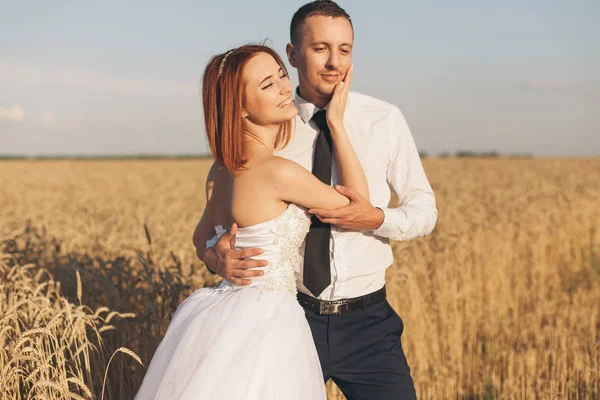 Espléndidos novios en el campo de trigo. Felicidad y matrimonio — Foto de Stock