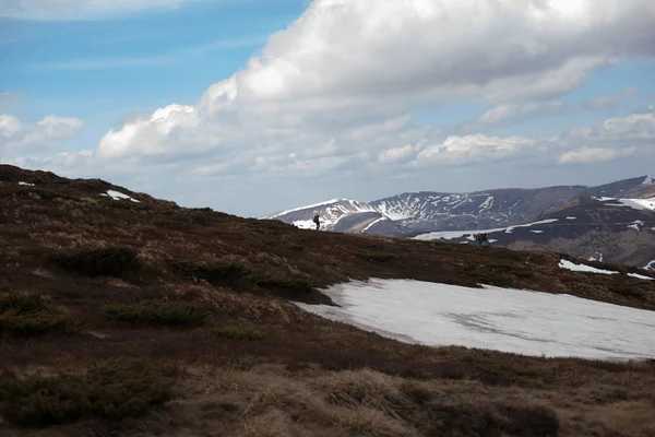 Bahar dağ manzarası. Karpatlar, Ukrayna, Europe