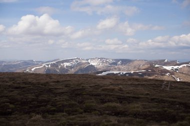 Bahar dağ manzarası. Karpatlar, Ukrayna, Europe