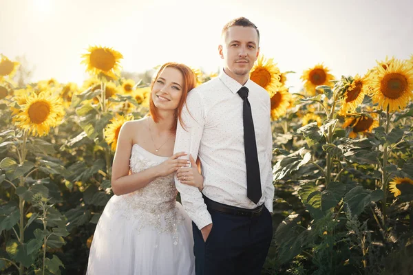 Novia en vestidos de novia blancos y novio en camisa blanca y corbata de pie abrazándose en el campo de los girasoles — Foto de Stock