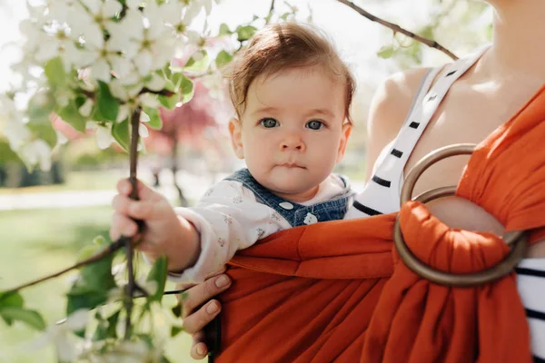 Irreconhecível jovem mãe com seu bebê em funda — Fotografia de Stock