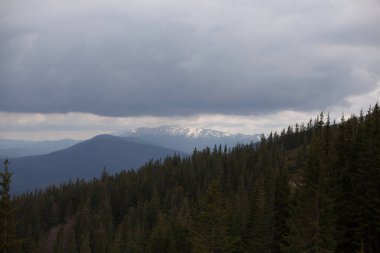 Karpatlar Ukrayna dağlarda manzara
