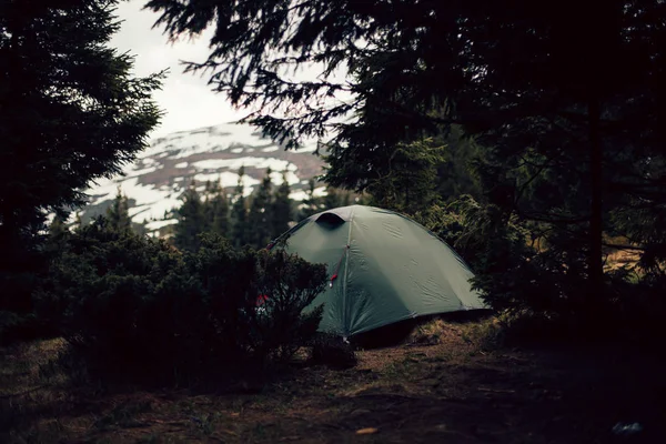 Forrest, kamp çadır sabah — Stok fotoğraf