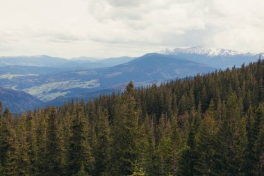 Karpatlar Ukrayna dağlarda manzara