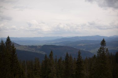 Karpatlar Ukrayna dağlarda manzara