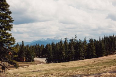 Karpatlar Ukrayna dağlarda manzara