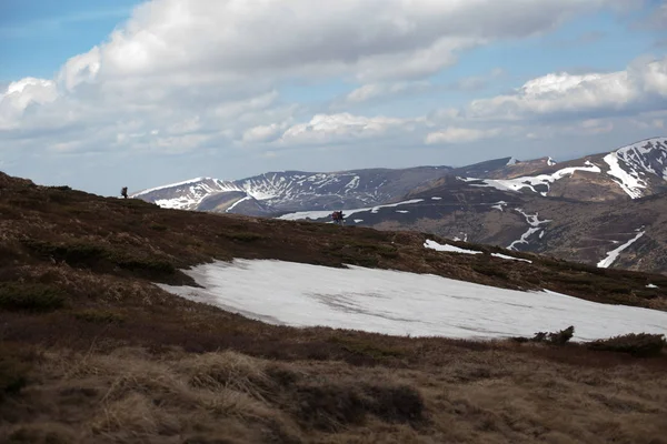 Bahar dağ manzarası. Karpatlar, Ukrayna, Europe