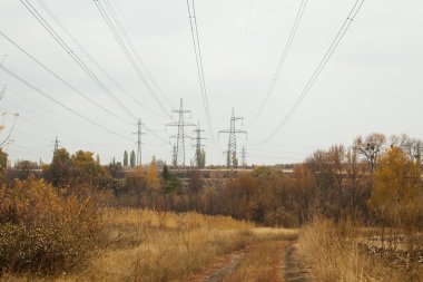 Güç hattı sonbahar peyzaj