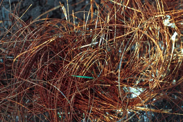 Carcasse métallique du pneu en caoutchouc brûlé de l'automobile — Photo