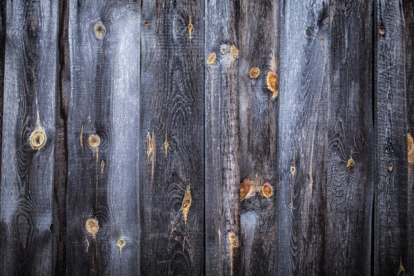 Gros plan du fond de texture en bois — Photo