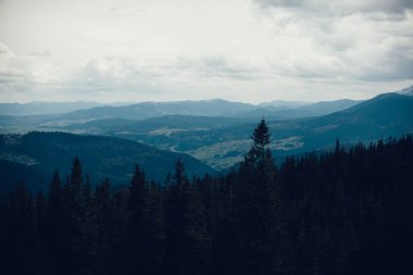 Karpatlar Ukrayna dağlarda manzara