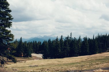 Karpatlar Ukrayna dağlarda manzara