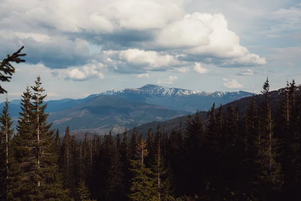 Paysage dans les montagnes Carpates Ukraine — Photo