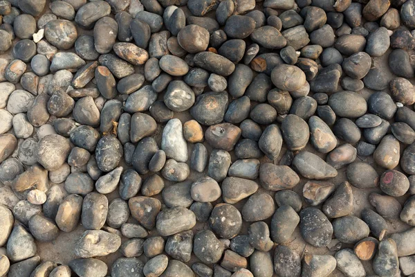 Texture astratta in pietra di mare. ciottoli marini — Foto Stock