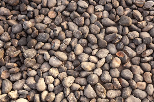 Abstract sea stone texture. sea pebbles — Stock Photo, Image