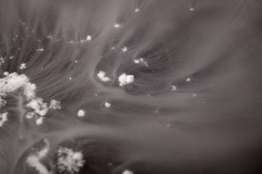 Siyah seramik karoların arka planında kalın beyaz duman. 